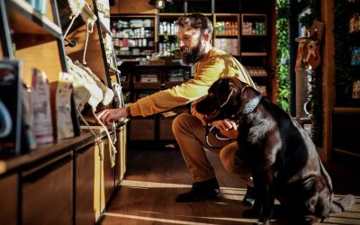 Custom Packaging for Pet Food Brands: Best Practices and Emerging Trends