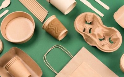 How to Transition Your Brand to Eco-Friendly Packaging: A Step-by-Step Guide