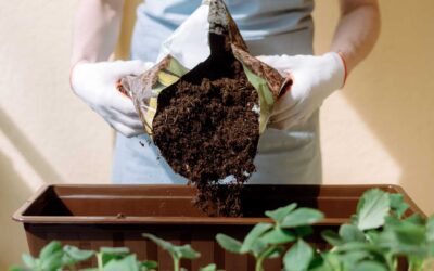 Fertilizer Packaging: Moisture Resistance, Durability, and Environmental Considerations